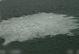 神秘的黑马崭露头角，引发关注和猜测